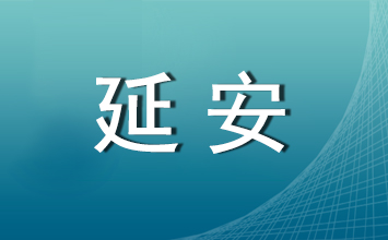 2024年延安市公开招聘社区专职工作人员面试公告