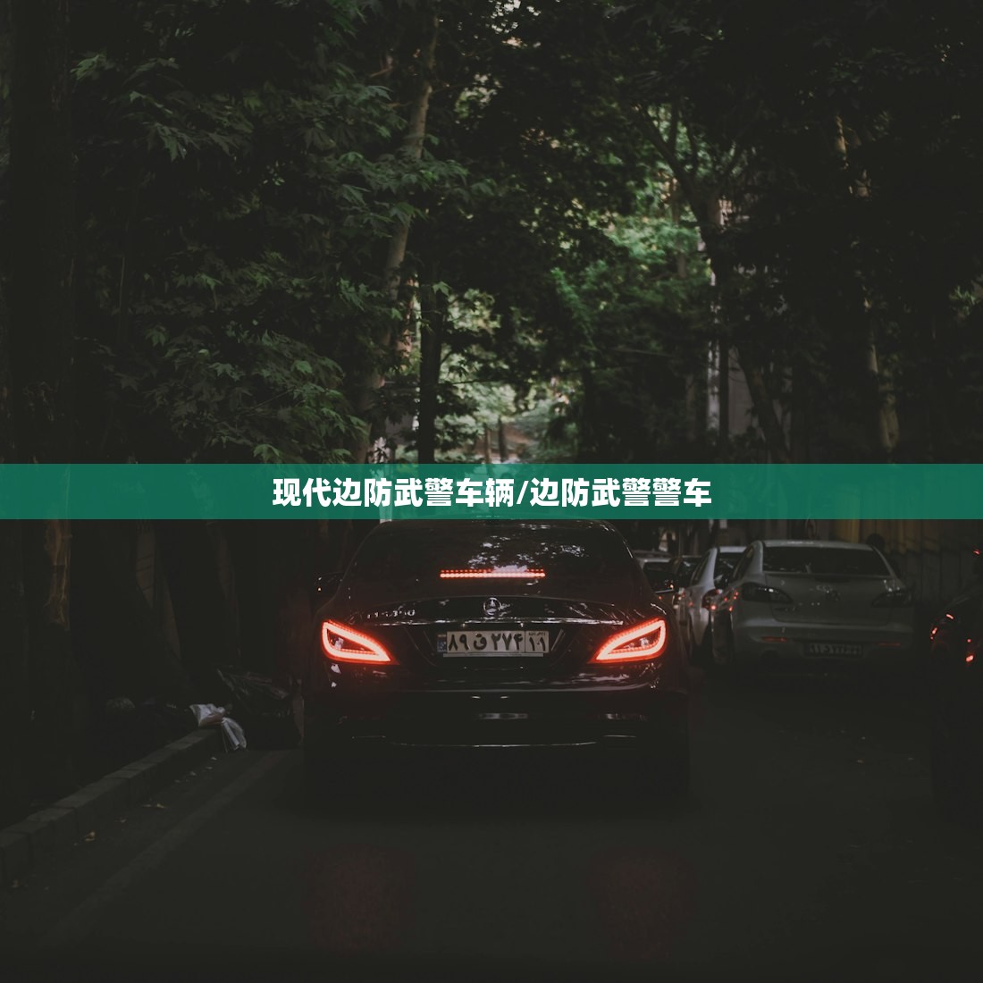 现代边防武警车辆/边防武警警车