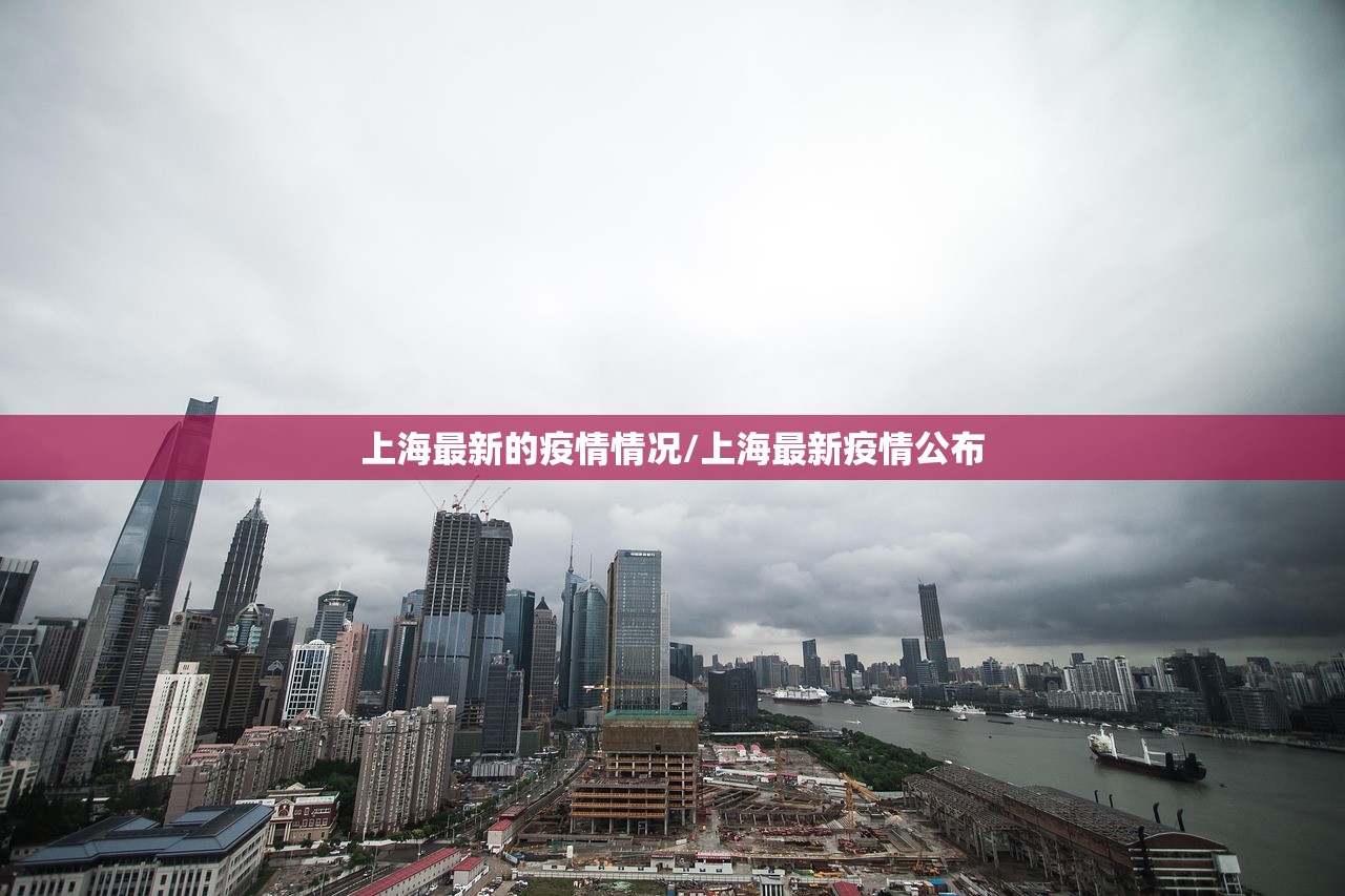 上海最新的疫情情况/上海最新疫情公布