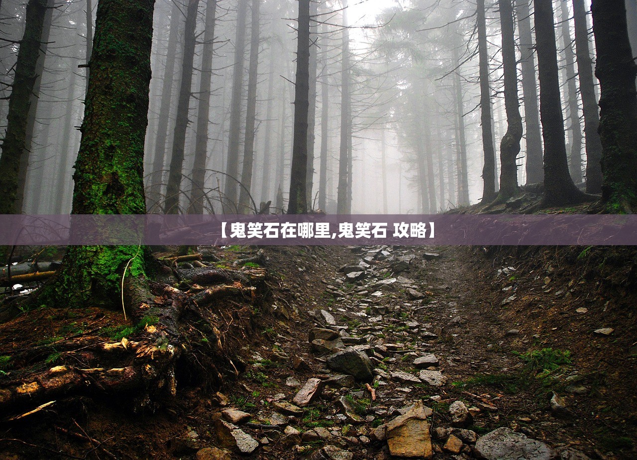 【鬼笑石在哪里,鬼笑石 攻略】