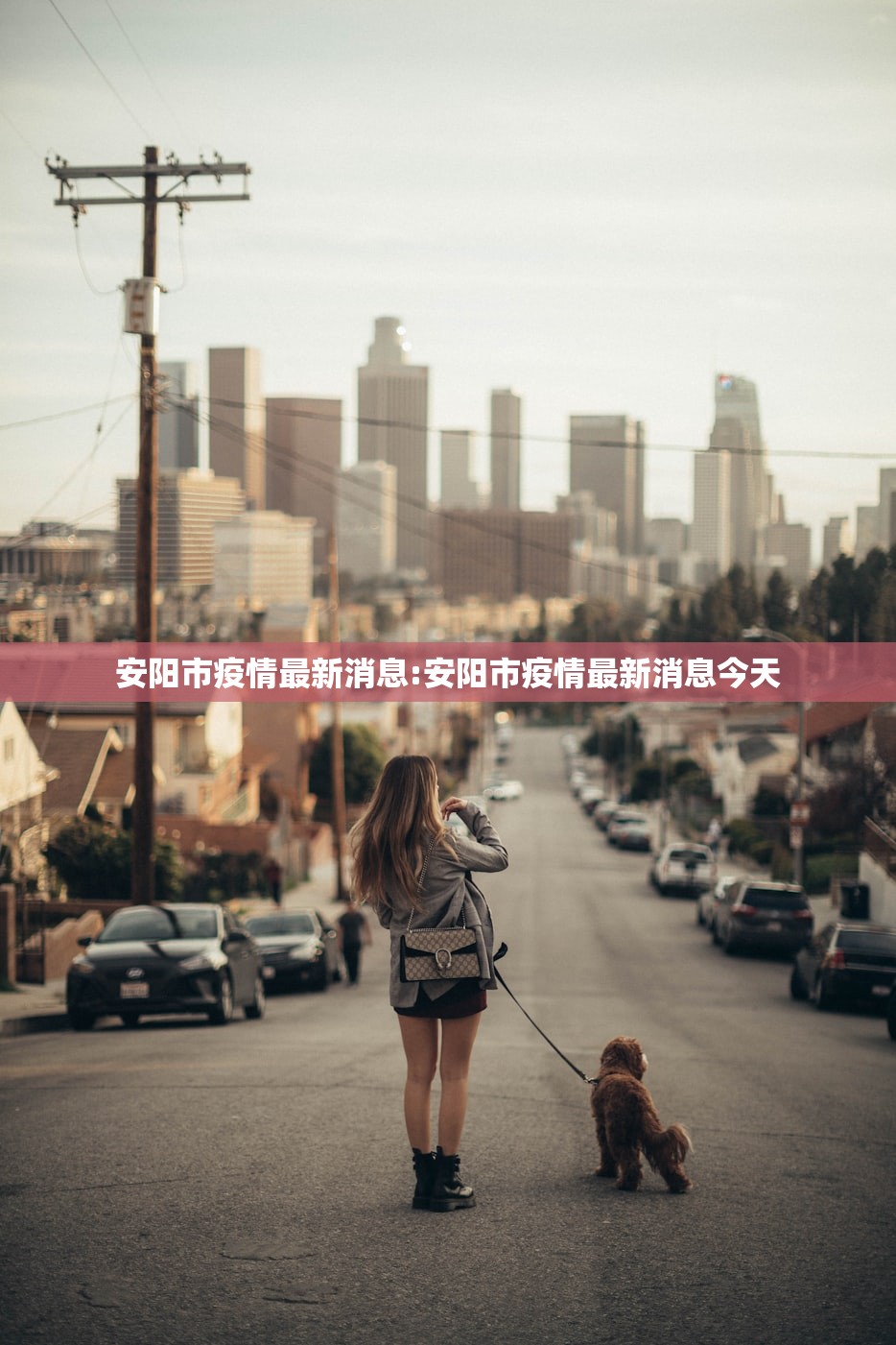 安阳市疫情最新消息:安阳市疫情最新消息今天