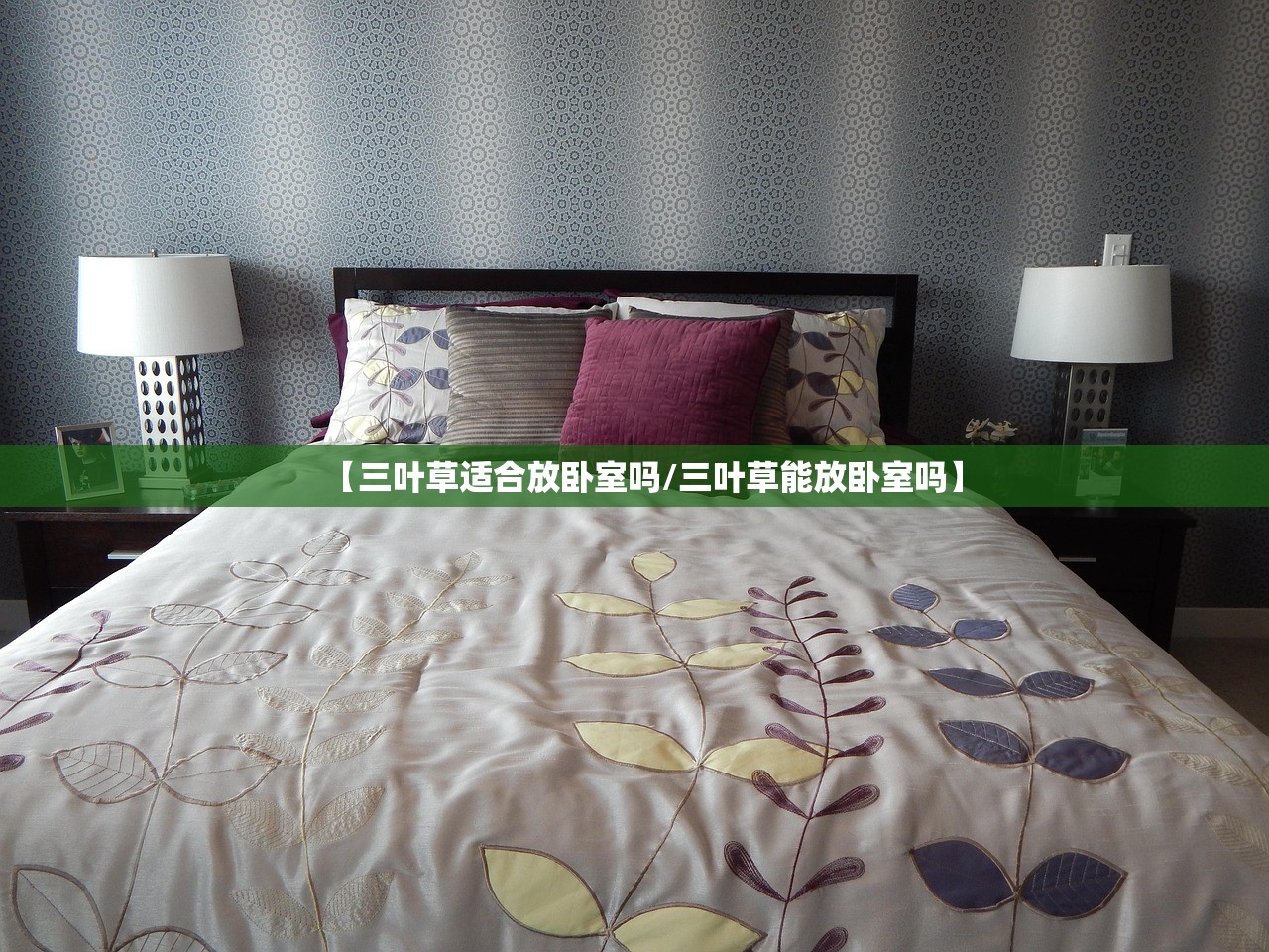 【三叶草适合放卧室吗/三叶草能放卧室吗】 【三叶草适合放卧室吗/三叶草能放卧室吗】