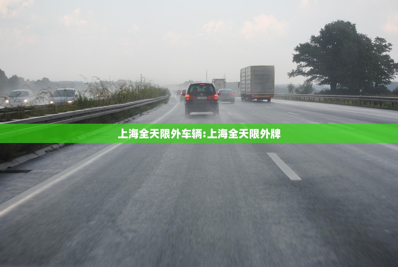 上海全天限外车辆:上海全天限外牌