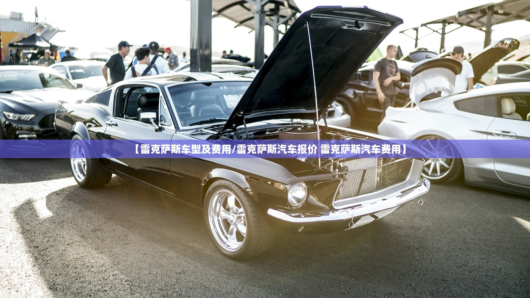 【雷克萨斯车型及费用/雷克萨斯汽车报价 雷克萨斯汽车费用】