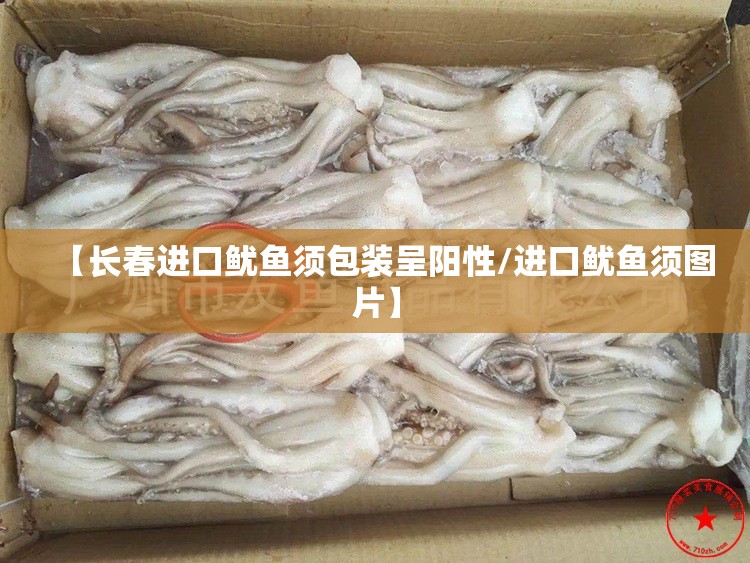 【长春进口鱿鱼须包装呈阳性/进口鱿鱼须图片】