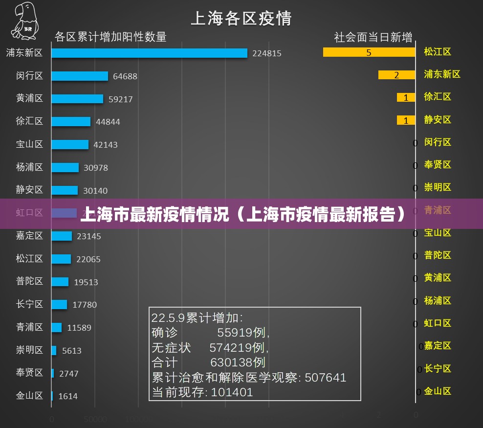 上海市最新疫情情况（上海市疫情最新报告）
