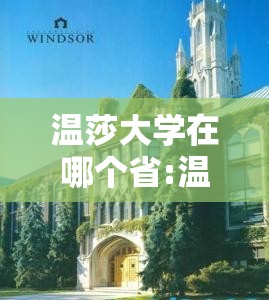 温莎大学在哪个省:温莎大学在哪个城市 温莎大学在哪个省:温莎大学在哪个城市