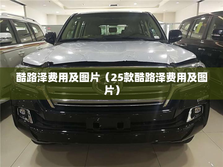 酷路泽费用及图片（25款酷路泽费用及图片）