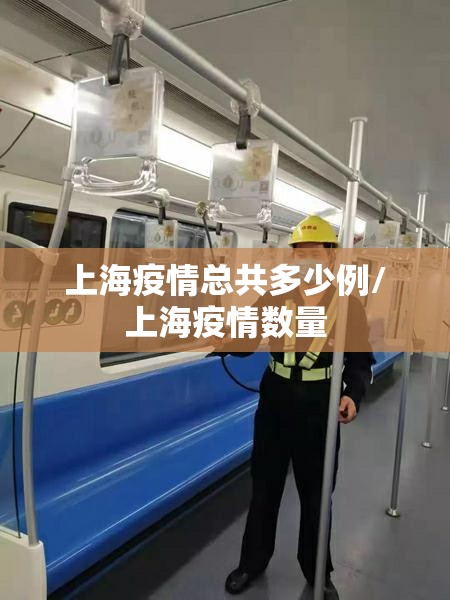 上海疫情总共多少例/上海疫情数量