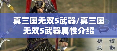 真三国无双5武器/真三国无双5武器属性介绍