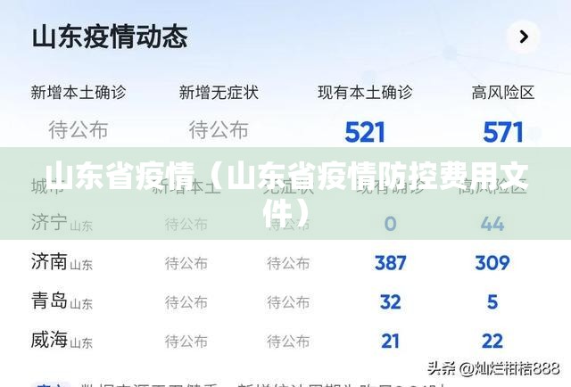 山东省疫情（山东省疫情防控费用文件）