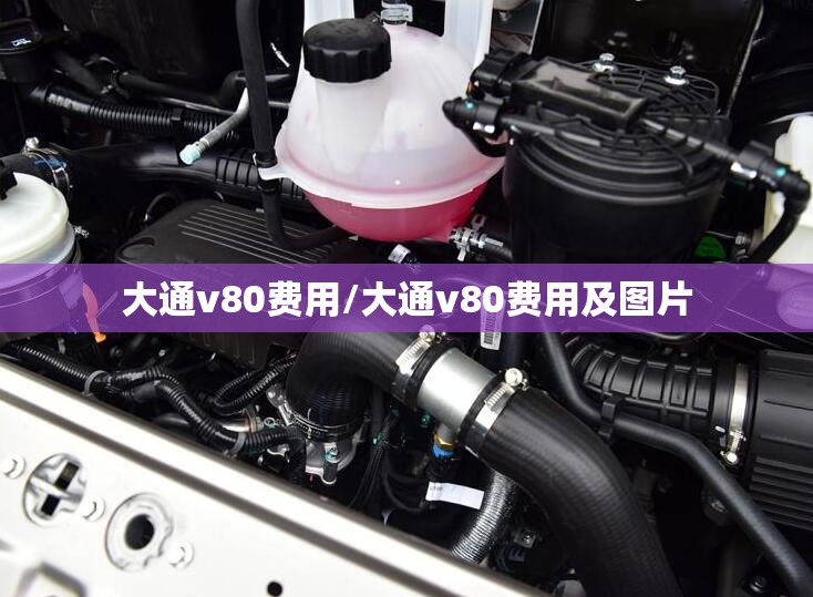 大通v80费用/大通v80费用及图片