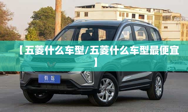 【五菱什么车型/五菱什么车型最便宜】