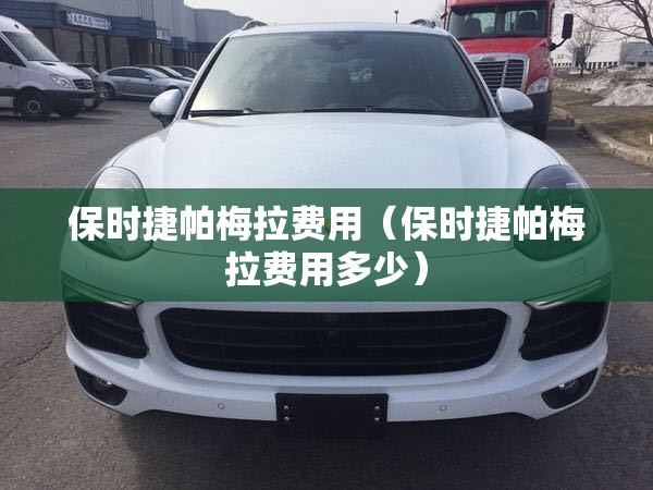 保时捷帕梅拉费用（保时捷帕梅拉费用多少）