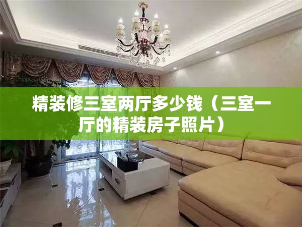 精装修三室两厅多少钱（三室一厅的精装房子照片）