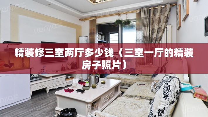 精装修三室两厅多少钱（三室一厅的精装房子照片）
