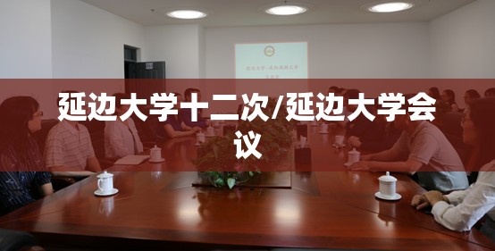 延边大学十二次/延边大学会议 延边大学十二次/延边大学会议