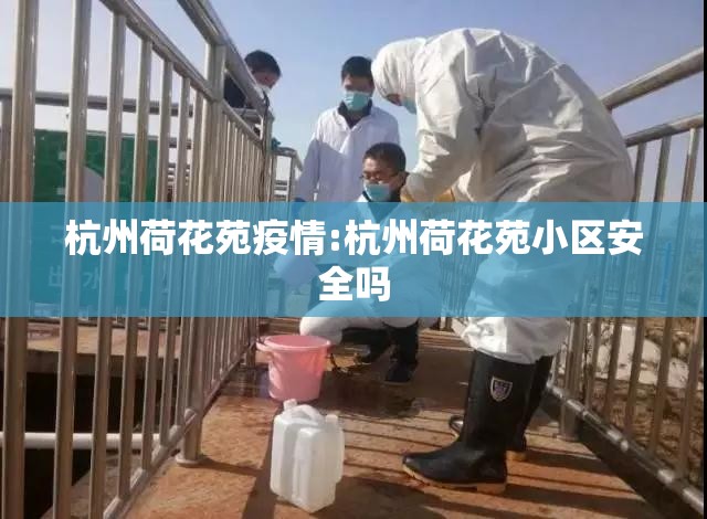 杭州荷花苑疫情:杭州荷花苑小区安全吗