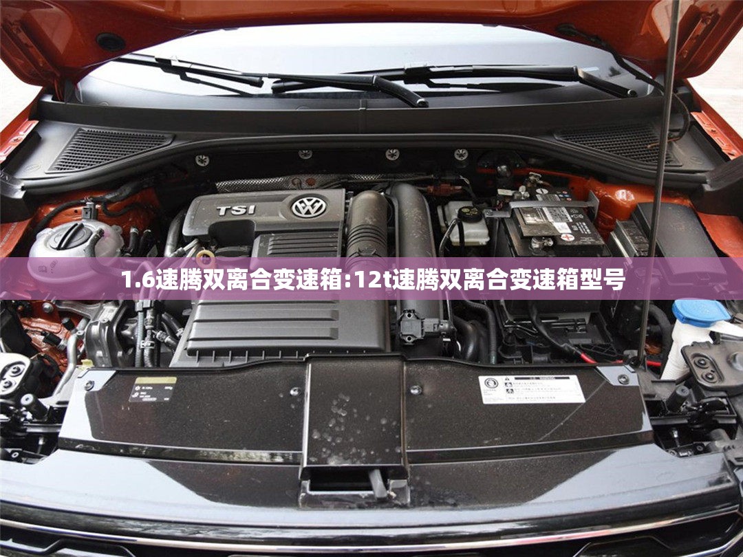 1.6速腾双离合变速箱:12t速腾双离合变速箱型号