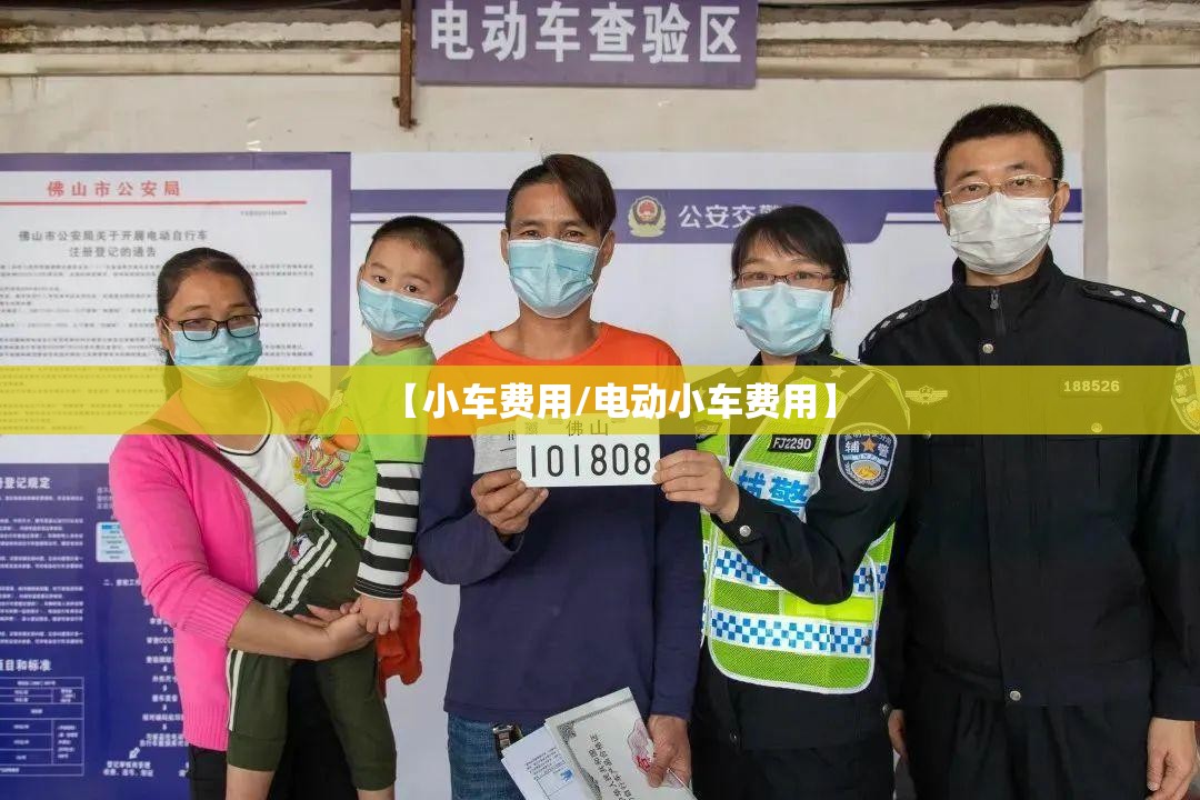 【小车费用/电动小车费用】