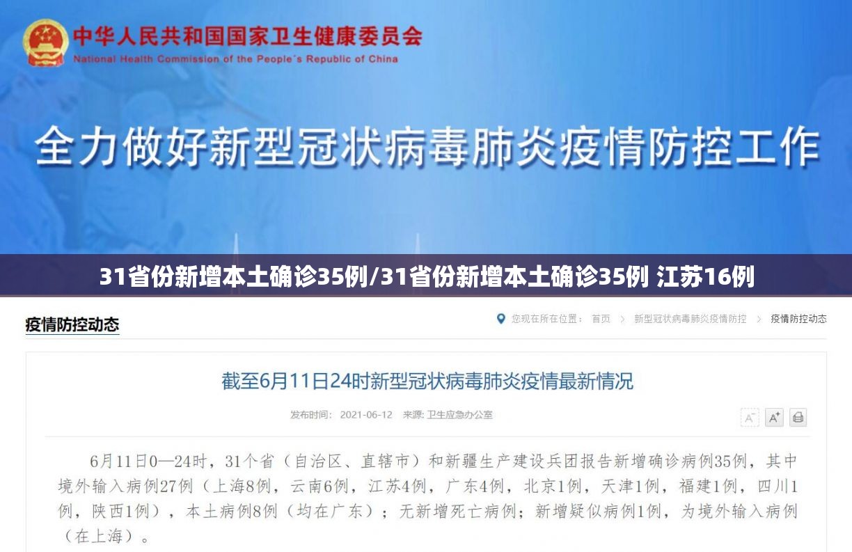 31省份新增本土确诊35例/31省份新增本土确诊35例 江苏16例