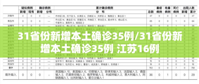 31省份新增本土确诊35例/31省份新增本土确诊35例 江苏16例