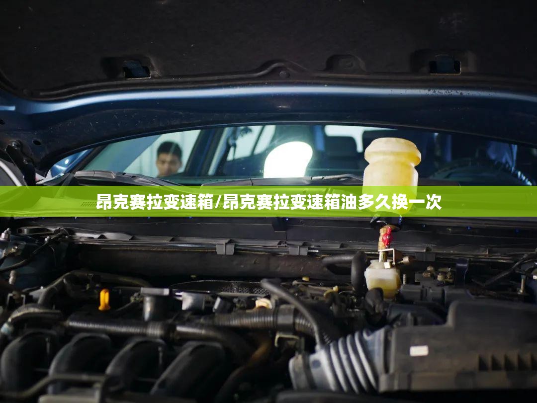 昂克赛拉变速箱/昂克赛拉变速箱油多久换一次 昂克赛拉变速箱/昂克赛拉变速箱油多久换一次