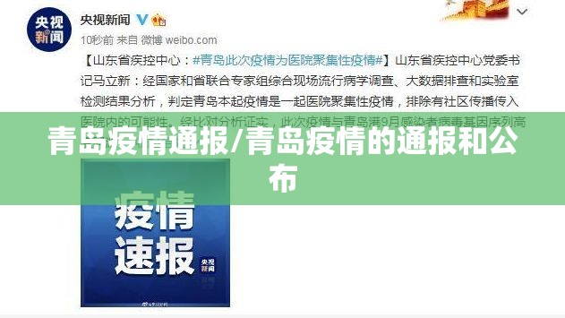 青岛疫情通报/青岛疫情的通报和公布