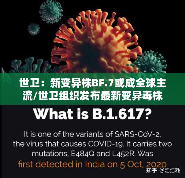 世卫:新变异株BF.7或成全球主流/世卫组织发布最新变异毒株 世卫:新变异株BF.7或成全球主流/世卫组织发布最新变异毒株