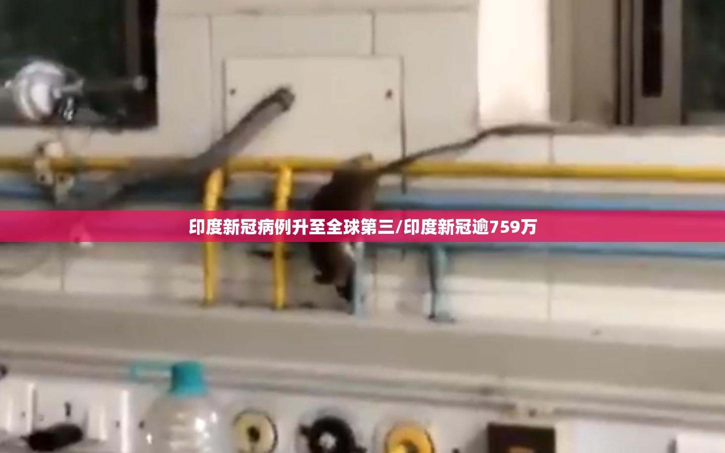 印度新冠病例升至全球第三/印度新冠逾759万 印度新冠病例升至全球第三/印度新冠逾759万