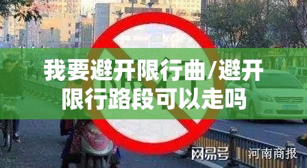 我要避开限行曲/避开限行路段可以走吗 我要避开限行曲/避开限行路段可以走吗
