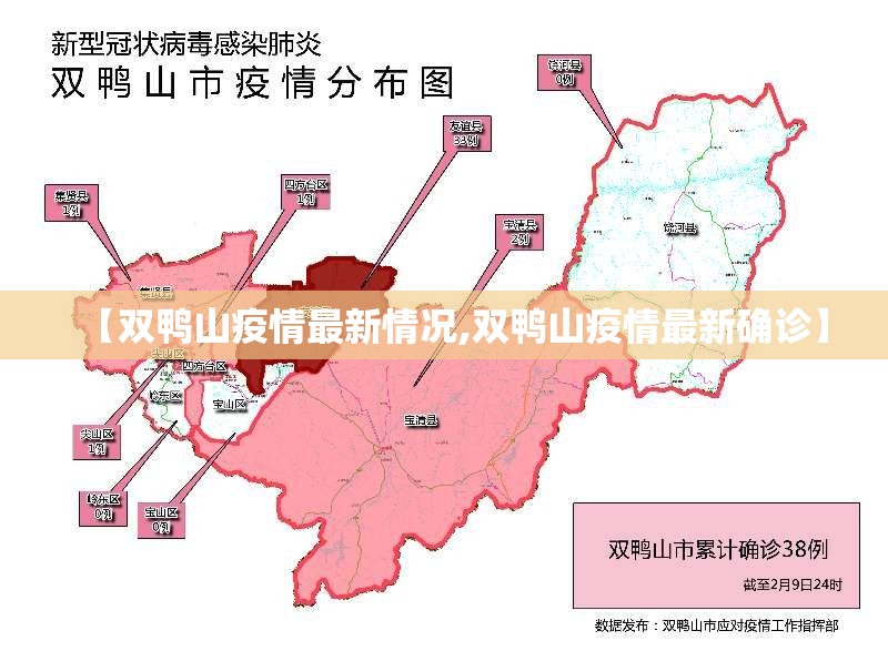 【双鸭山疫情最新情况,双鸭山疫情最新确诊】