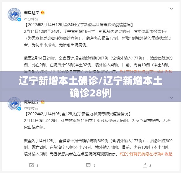 辽宁新增本土确诊/辽宁新增本土确诊28例