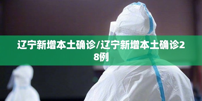 辽宁新增本土确诊/辽宁新增本土确诊28例