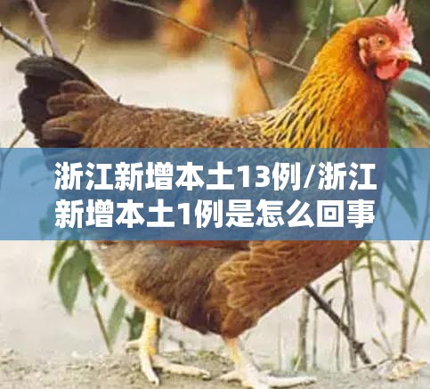 浙江新增本土13例/浙江新增本土1例是怎么回事 浙江新增本土13例/浙江新增本土1例是怎么回事