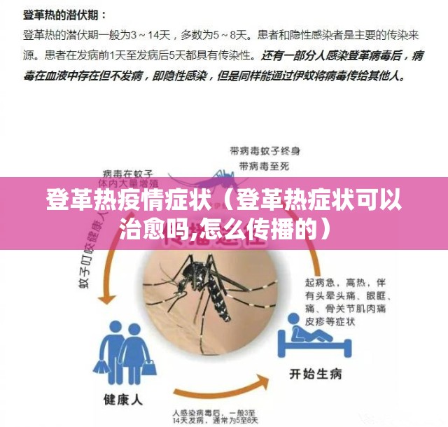 登革热疫情症状(登革热症状可以治愈吗,怎么传播的) 登革热疫情症状(登革热症状可以治愈吗,怎么传播的)
