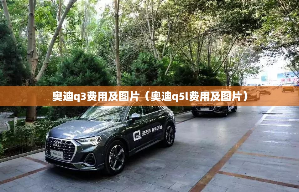 奥迪q3费用及图片（奥迪q5l费用及图片）