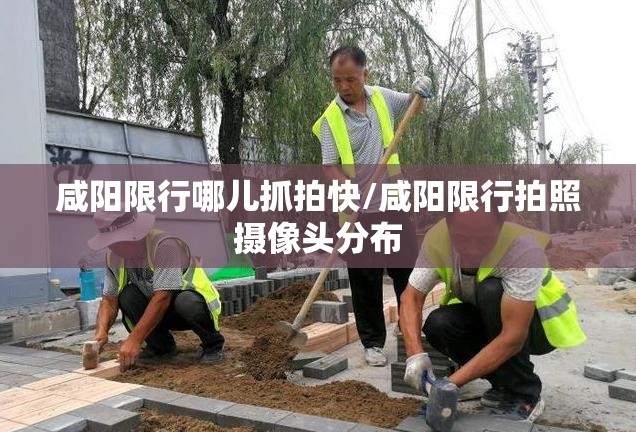 咸阳限行哪儿抓拍快/咸阳限行拍照摄像头分布