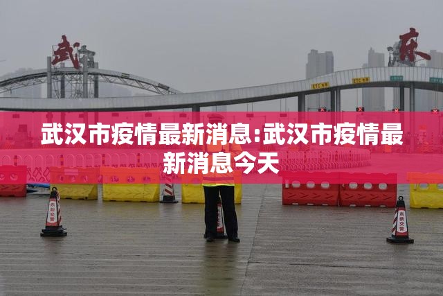 武汉市疫情最新消息:武汉市疫情最新消息今天