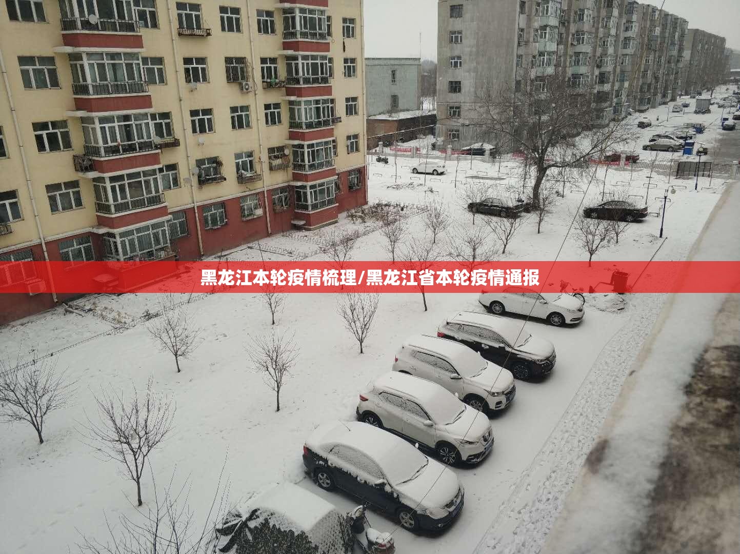 黑龙江本轮疫情梳理/黑龙江省本轮疫情通报