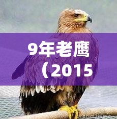 9年老鹰（2015年老鹰）