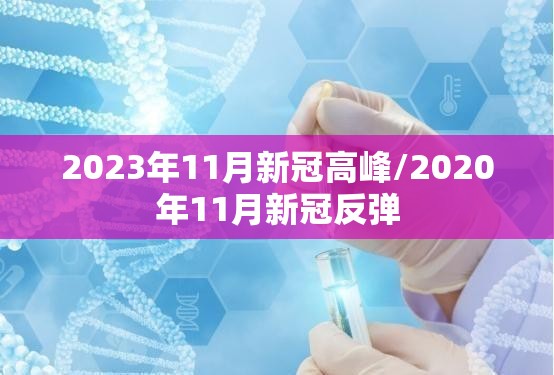 2023年11月新冠高峰/2020年11月新冠反弹