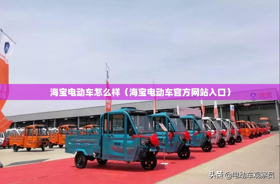 海宝电动车怎么样（海宝电动车官方网站入口）