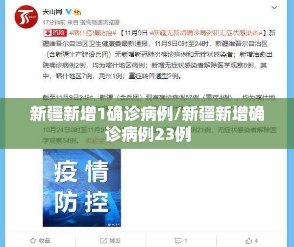 新疆新增1确诊病例/新疆新增确诊病例23例