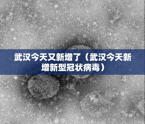 武汉今天又新增了（武汉今天新增新型冠状病毒）