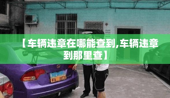 【车辆违章在哪能查到,车辆违章到那里查】 【车辆违章在哪能查到,车辆违章到那里查】