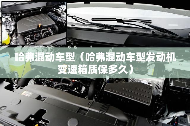 哈弗混动车型（哈弗混动车型发动机变速箱质保多久）