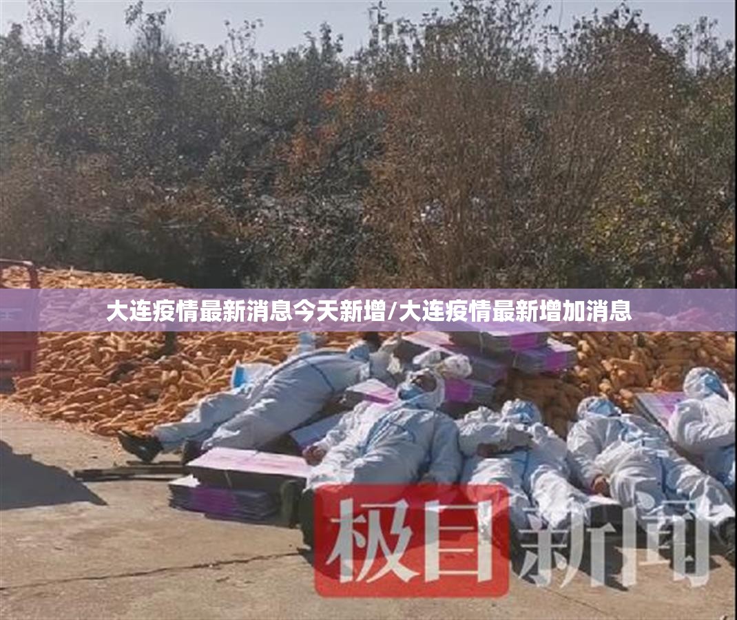 大连疫情最新消息今天新增/大连疫情最新增加消息 大连疫情最新消息今天新增/大连疫情最新增加消息