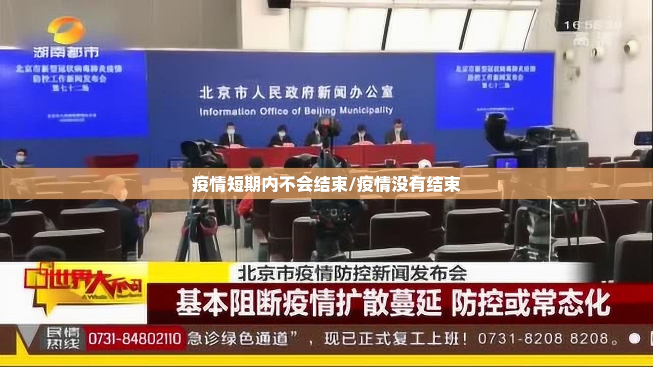疫情短期内不会结束/疫情没有结束 疫情短期内不会结束/疫情没有结束