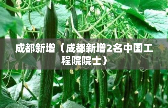 成都新增(成都新增2名中国工程院院士) 成都新增(成都新增2名中国工程院院士)